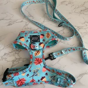 Sassy woof fall harness and leash set